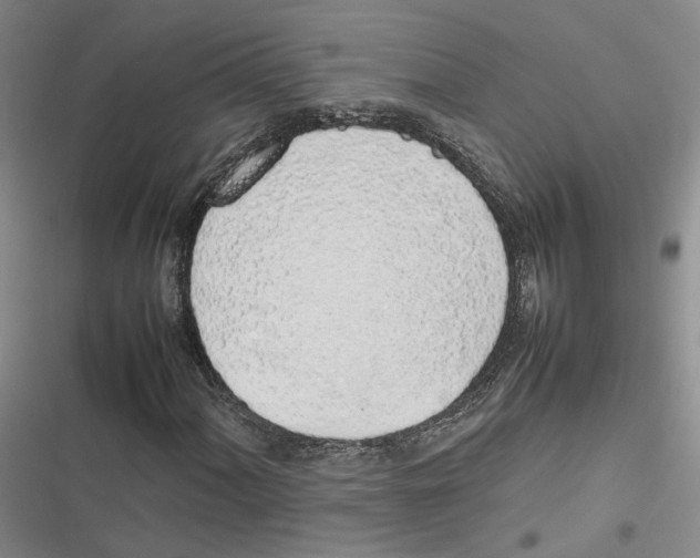 X0000116881060201001121318