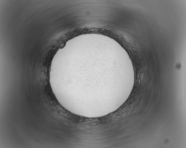 X0000116881062201001121318