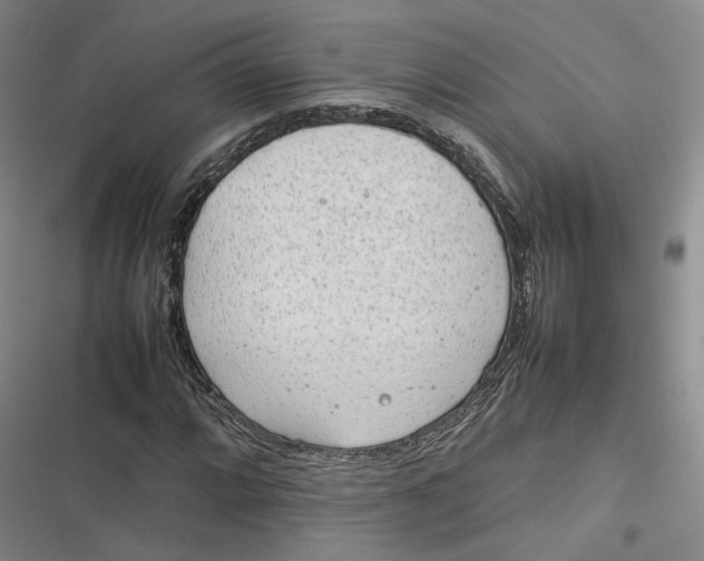 X0000116881064201001121318