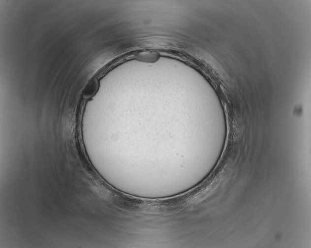 X0000116881065201001121318