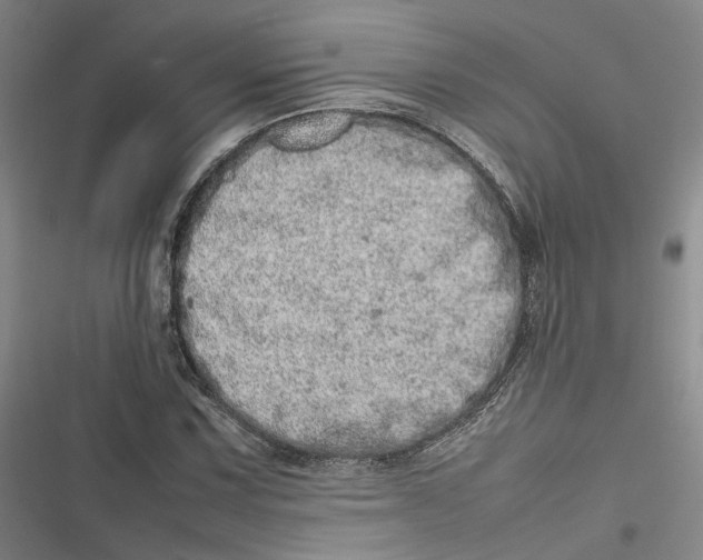 X0000116881067201001121318