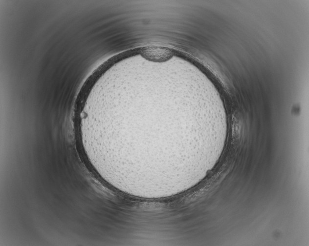 X0000116881068201001121318