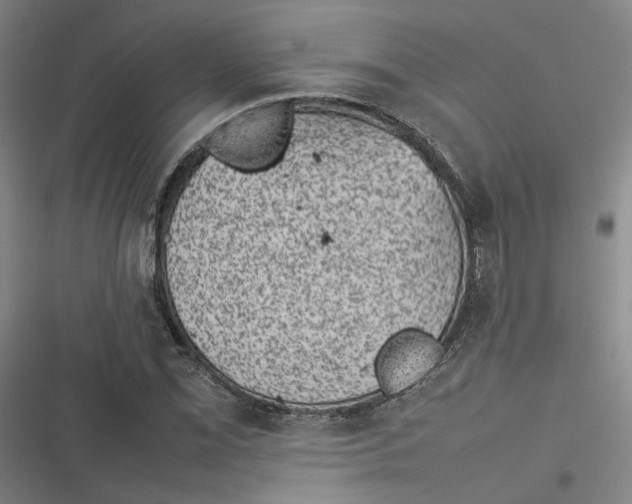 X0000116881069201001121318