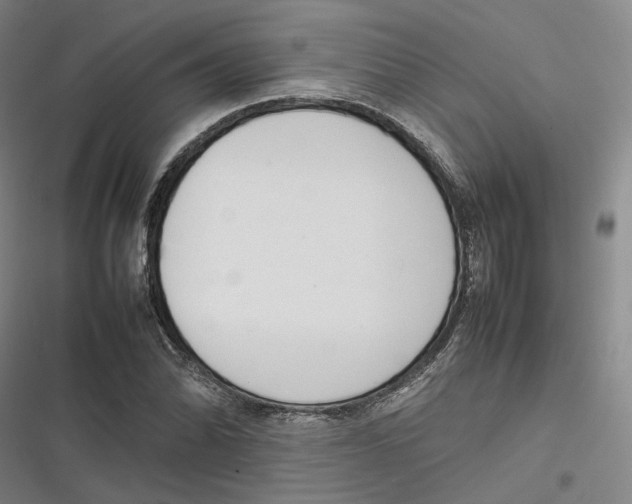 X0000116881070201001121318