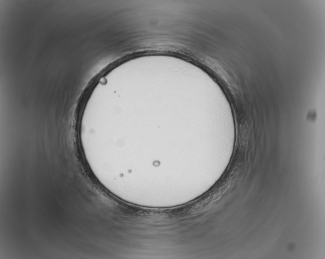X0000116881071201001121318