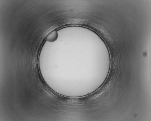 X0000116881073201001121318