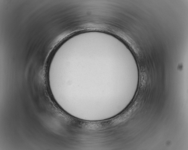 X0000116881074201001121318