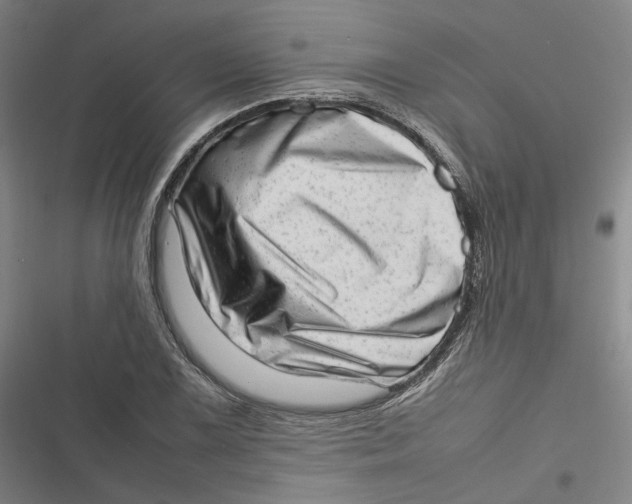 X0000116881075201001121318