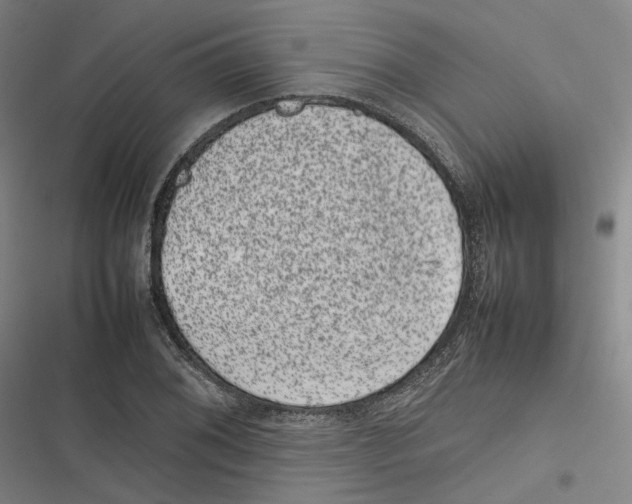 X0000116881076201001121318