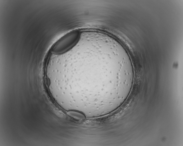X0000116881077201001121318