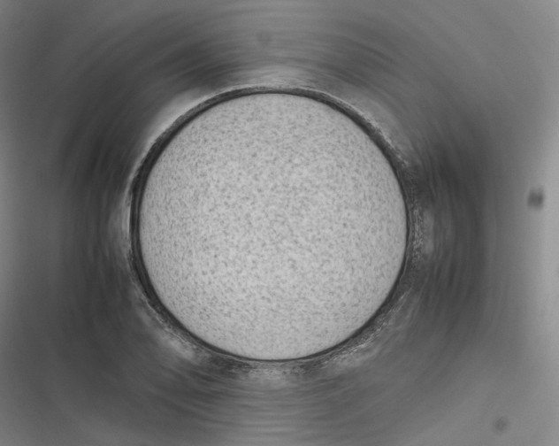 X0000116881078201001121317