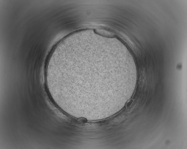 X0000116881080201001121317