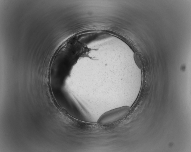 X0000116881081201001121317