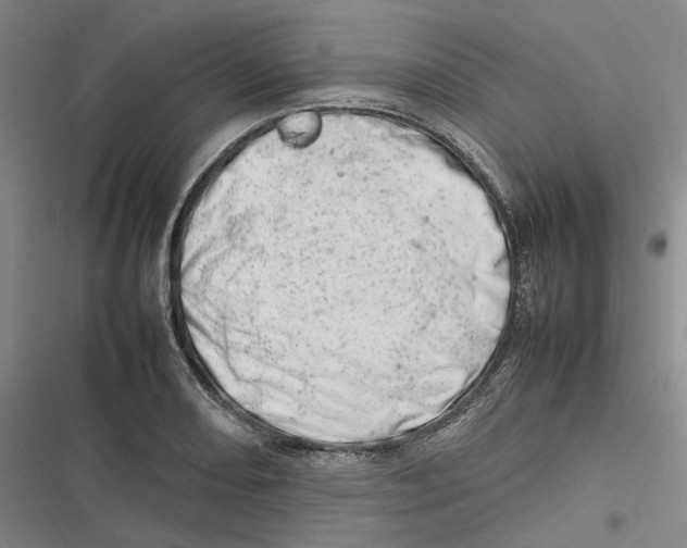 X0000116881082201001121317