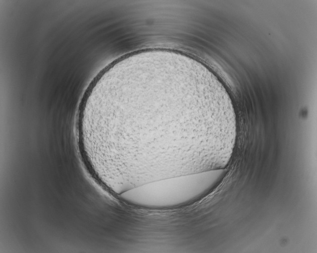 X0000116881084201001121317