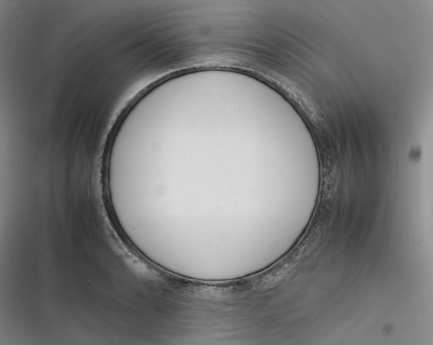X0000116881086201001121317
