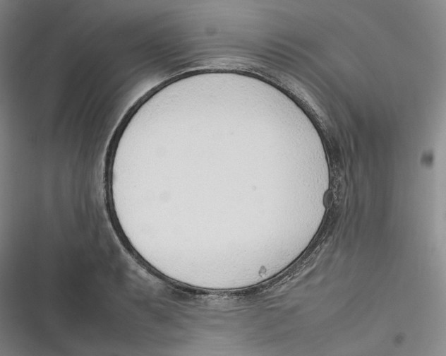 X0000116881087201001121317