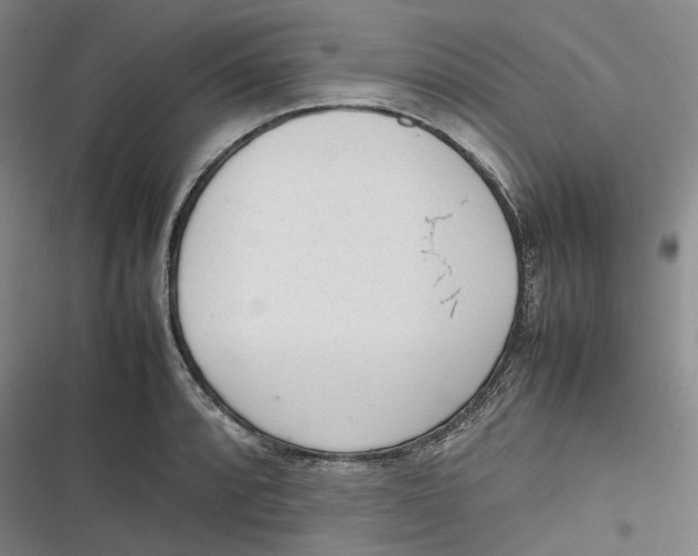 X0000116881088201001121317