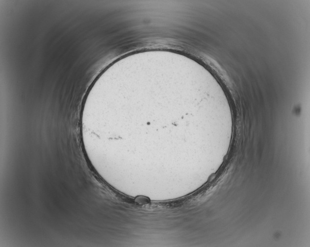 X0000116881089201001121317