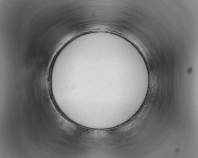 X0000116881090201001121317