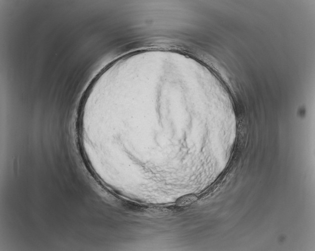 X0000116881091201001121317