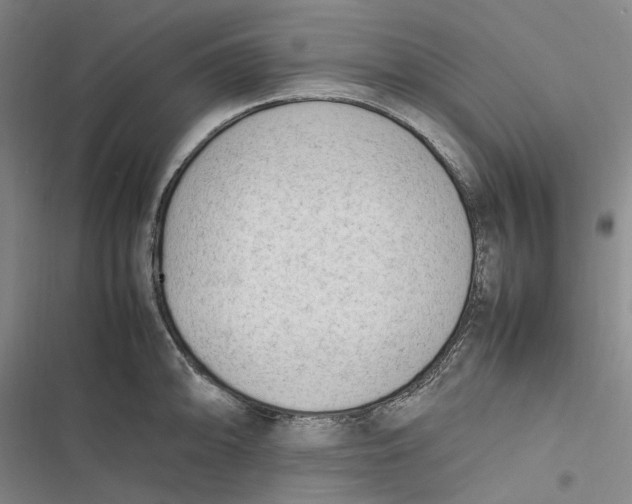 X0000116881094201001121317