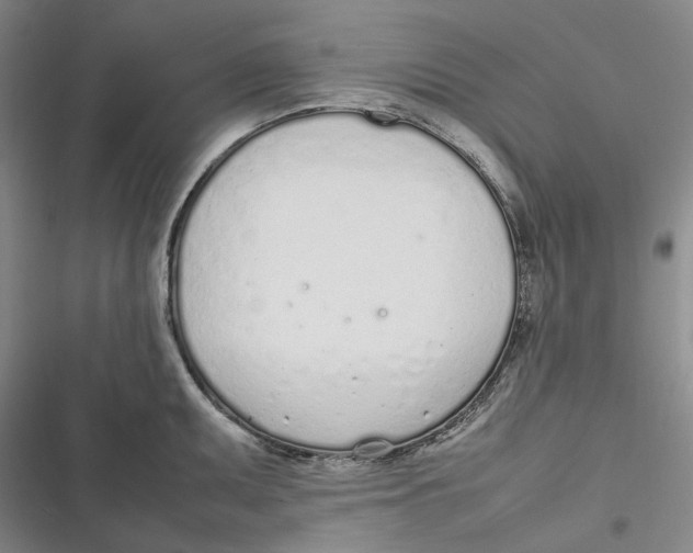 X0000116881095201001121317