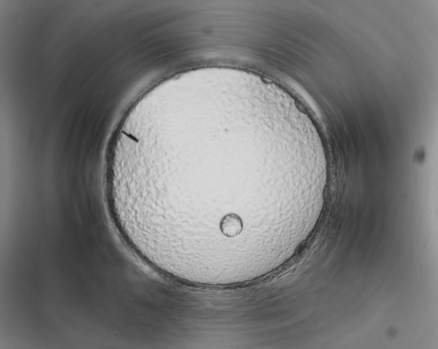 X0000116881096201001121317