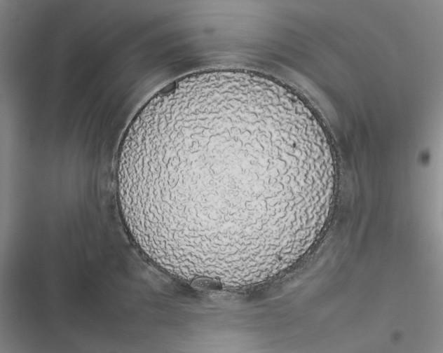 X0000116881097201001121317
