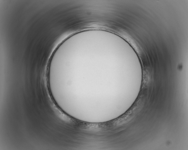 X0000116881098201001121317