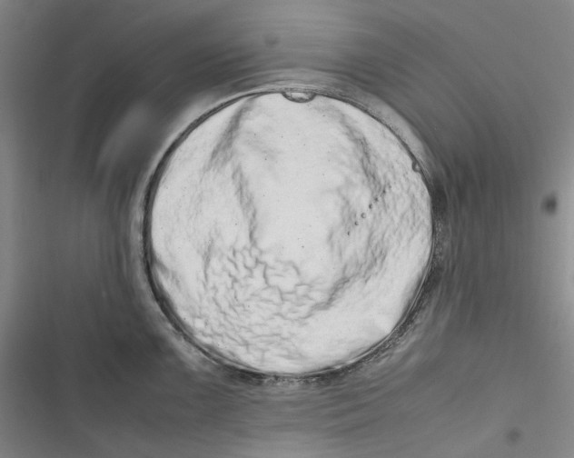 X0000116881099201001121317