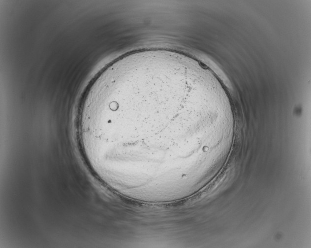 X0000116881101201001121317