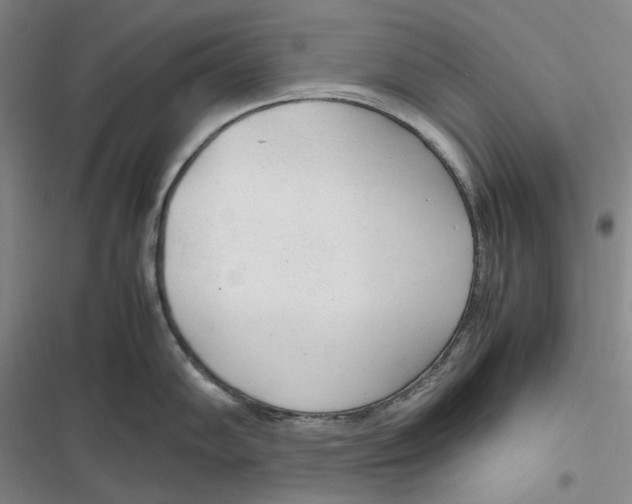 X0000116881102201001121317