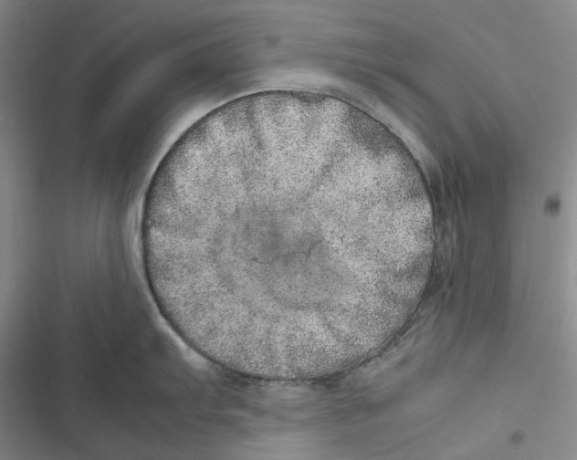 X0000116881103201001121317