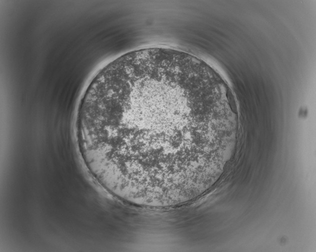 X0000116881104201001121317