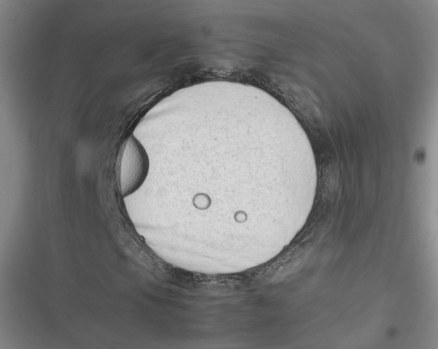 X0000116881105201001121316