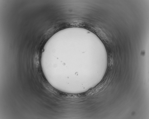 X0000116881106201001121317