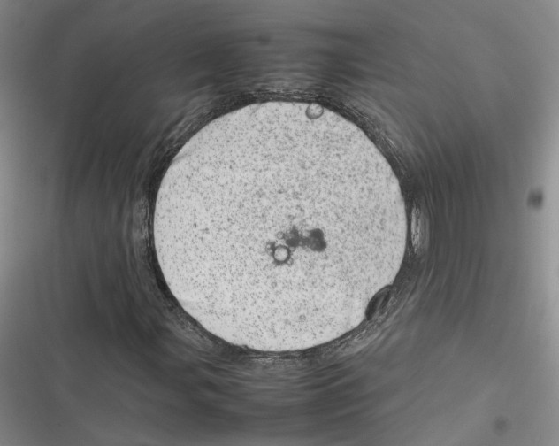 X0000116881107201001121317