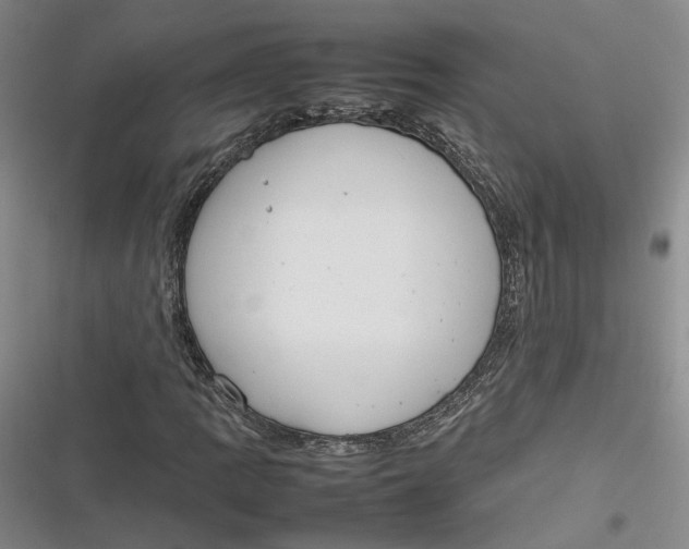 X0000116881109201001121317