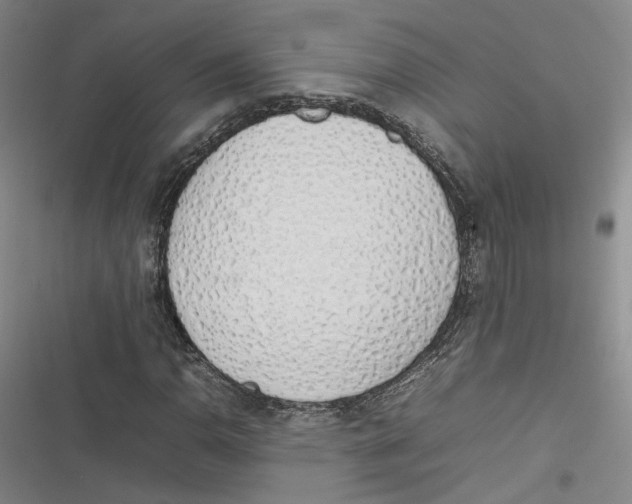 X0000116881110201001121317