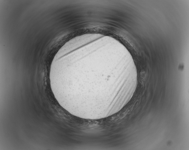 X0000116881111201001121317