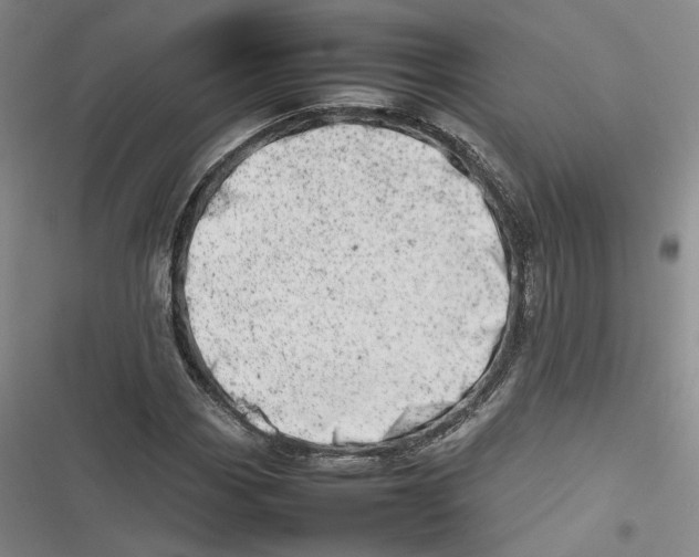 X0000116881113201001121317