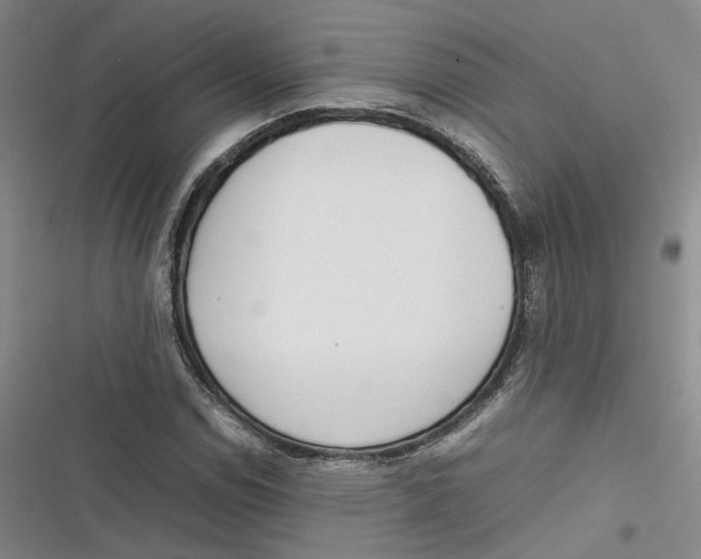 X0000116881114201001121317