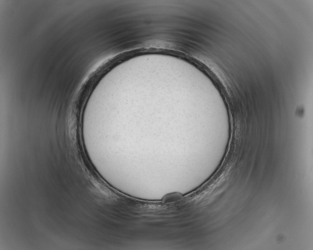 X0000116881115201001121317