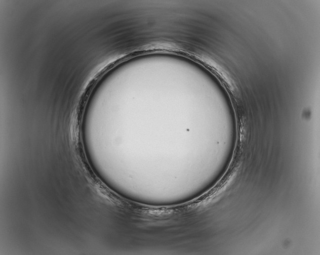 X0000116881117201001121317
