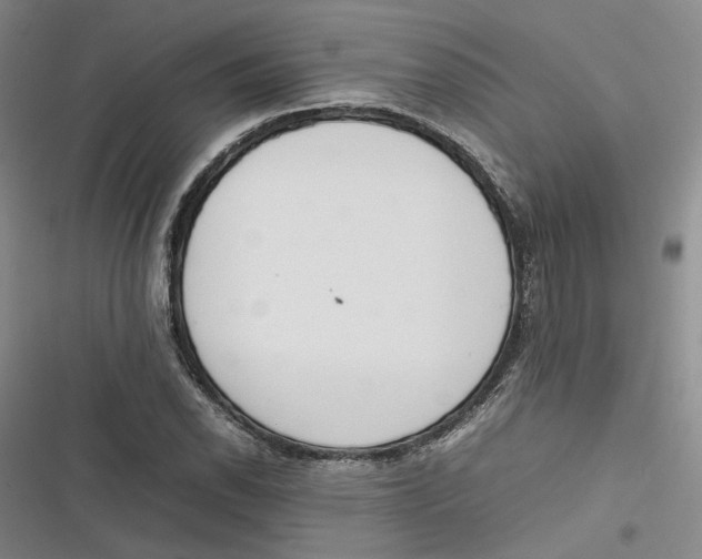 X0000116881118201001121317