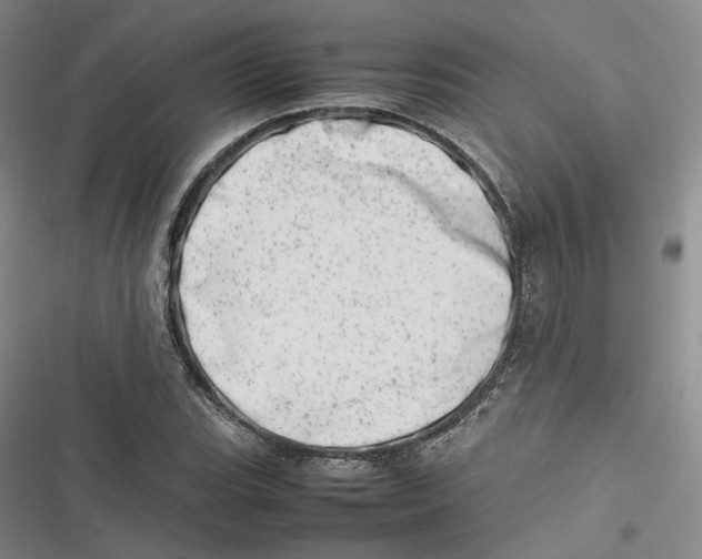 X0000116881119201001121317