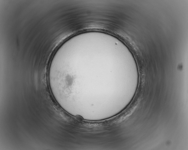 X0000116881121201001121317