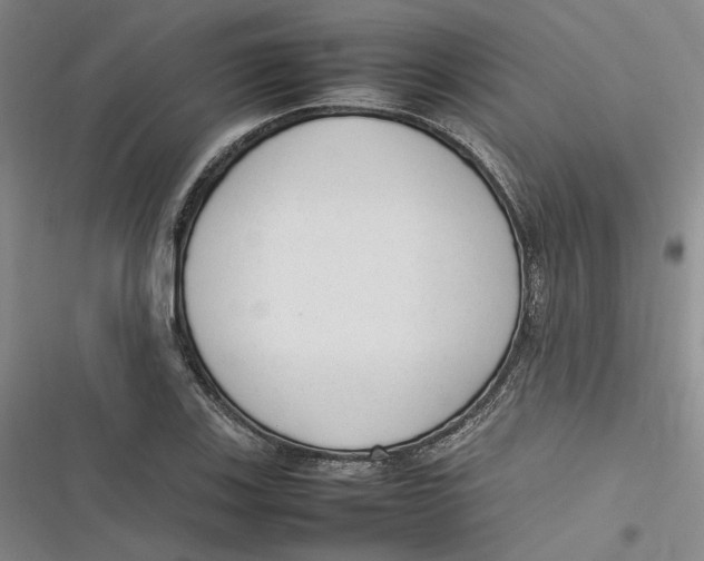 X0000116881123201001121317