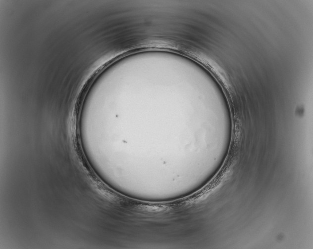 X0000116881125201001121317